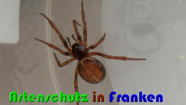 Bild zum Eintrag (1146902-160)
