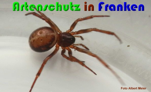 Bild zum Eintrag (1146904-160)