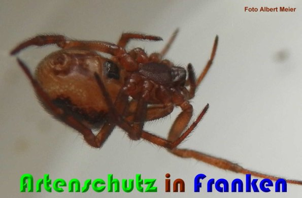 Bild zum Eintrag (1146905-160)