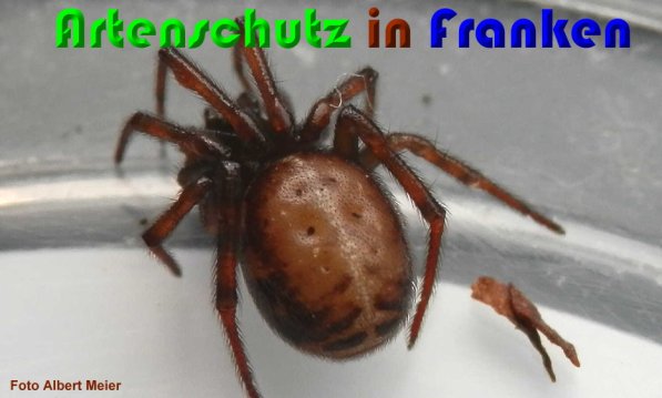 Bild zum Eintrag (1146906-160)