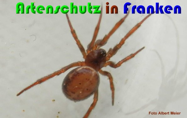 Bild zum Eintrag (1146907-160)