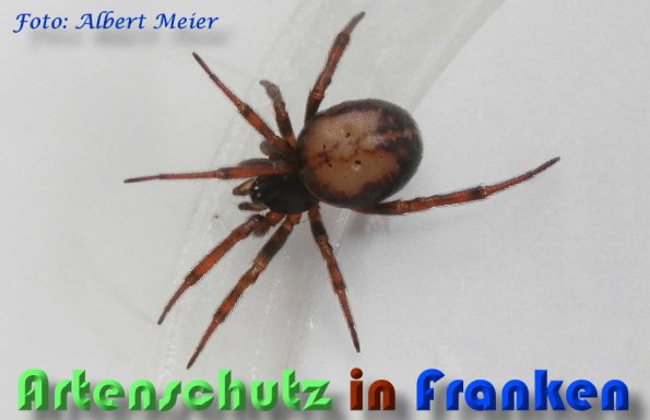 Bild zum Eintrag (1146908-160)