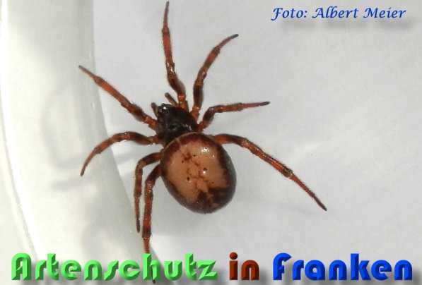Bild zum Eintrag (1146909-160)