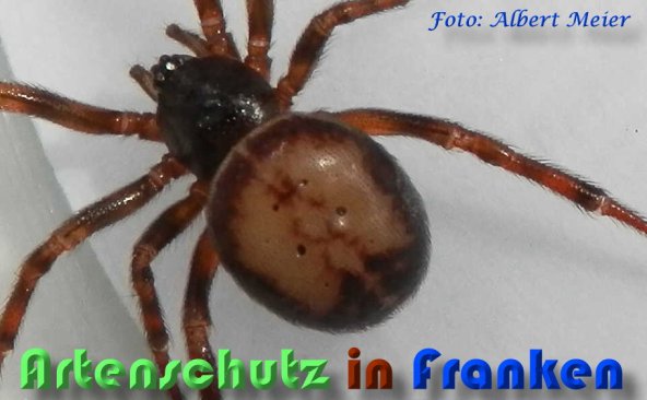 Bild zum Eintrag (1146914-160)