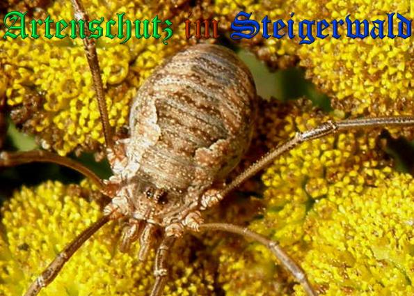 Bild zum Eintrag (1147518-160)