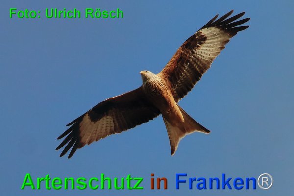 Bild zum Eintrag (1147731-160)