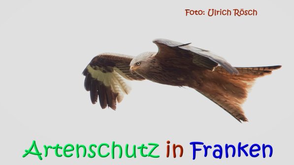 Bild zum Eintrag (1147733-160)