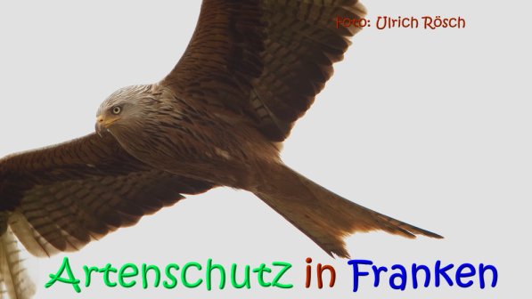 Bild zum Eintrag (1147734-160)