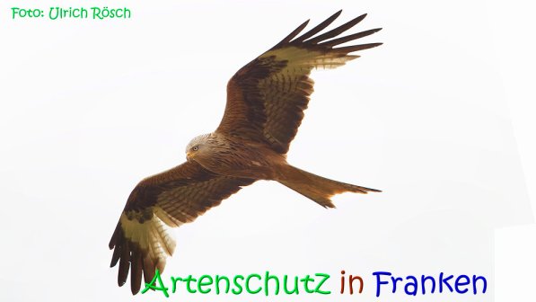 Bild zum Eintrag (1147735-160)