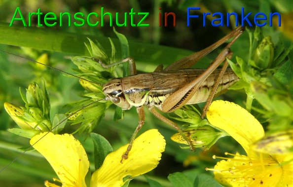 Bild zum Eintrag (1147851-160)