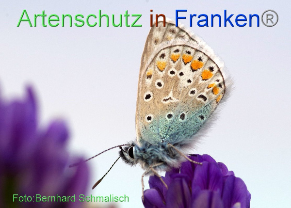 Bild zum Eintrag (1148062-160)
