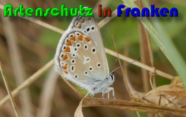 Bild zum Eintrag (1148064-160)