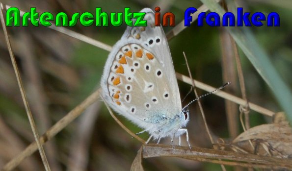 Bild zum Eintrag (1148065-160)