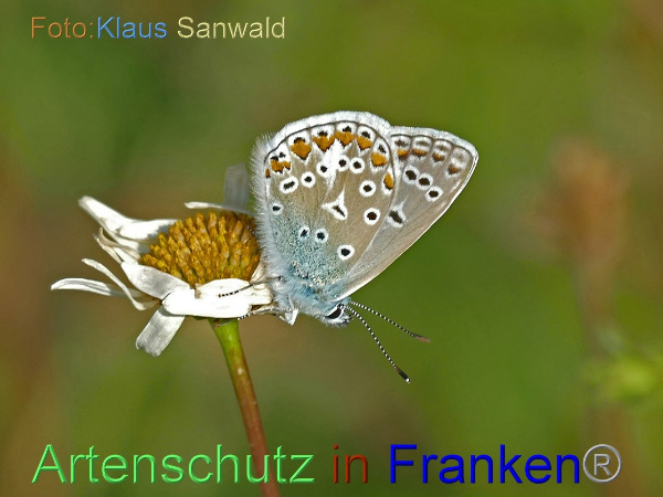 Bild zum Eintrag (1148066-160)