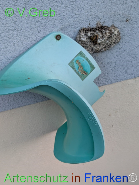 Bild zum Eintrag (1148592-160)