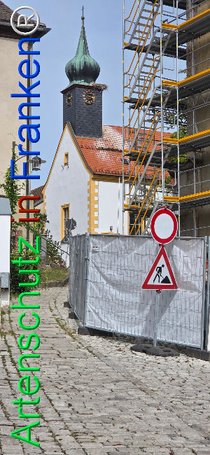 Bild zum Eintrag (1148609-160)