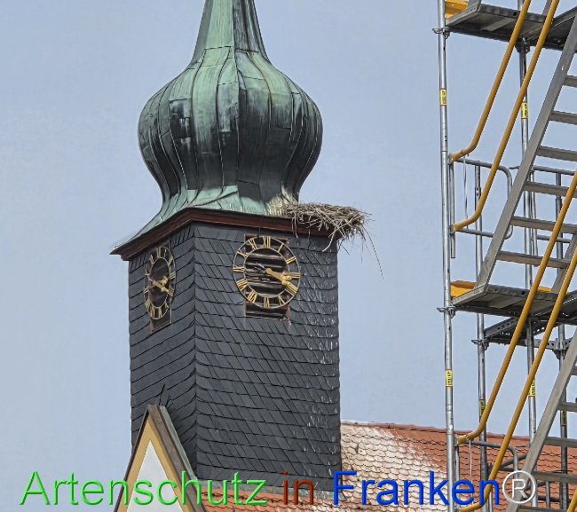 Bild zum Eintrag (1148612-160)