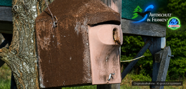 Bild zum Eintrag (1148638-160)