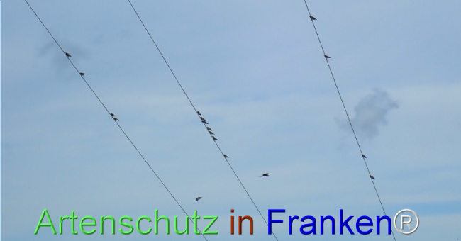 Bild zum Eintrag (1148659-160)
