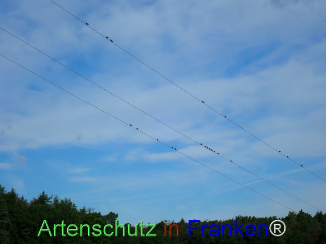 Bild zum Eintrag (1148661-160)