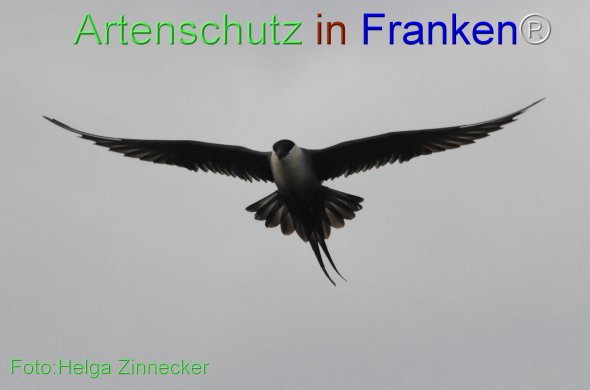 Bild zum Eintrag (1148985-160)