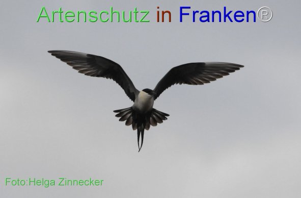 Bild zum Eintrag (1148994-160)