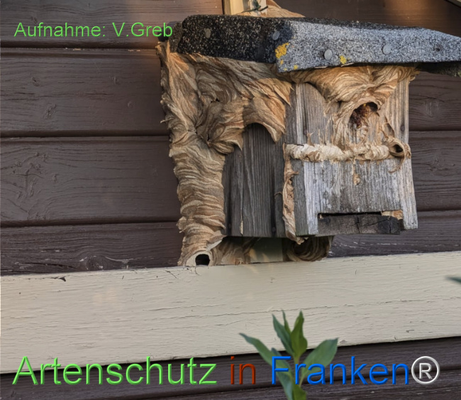 Bild zum Eintrag (1149303-160)