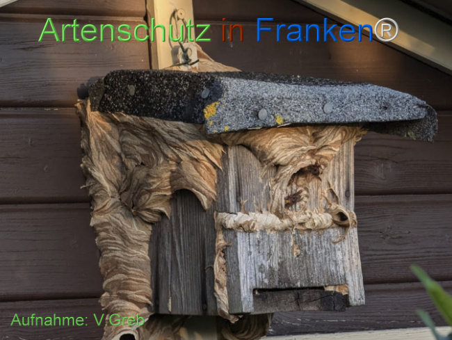 Bild zum Eintrag (1149304-160)