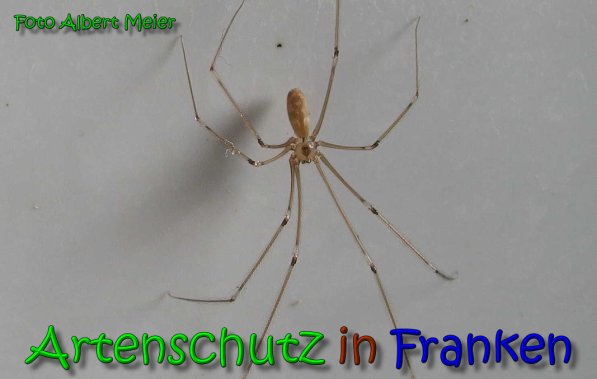 Bild zum Eintrag (1149365-160)