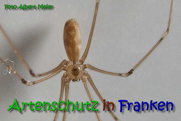 Bild zum Eintrag (1149366-160)