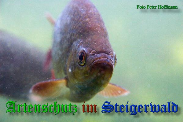 Bild zum Eintrag (1149786-160)