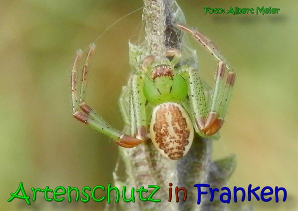 Bild zum Eintrag (1150670-160)