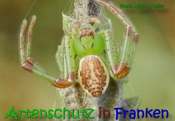 Bild zum Eintrag (1150672-160)
