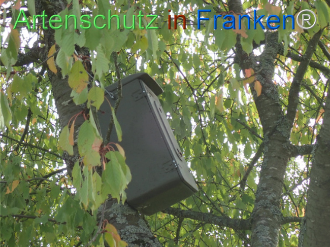 Bild zum Eintrag (1150862-160)