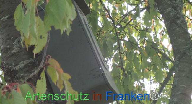Bild zum Eintrag (1150863-160)