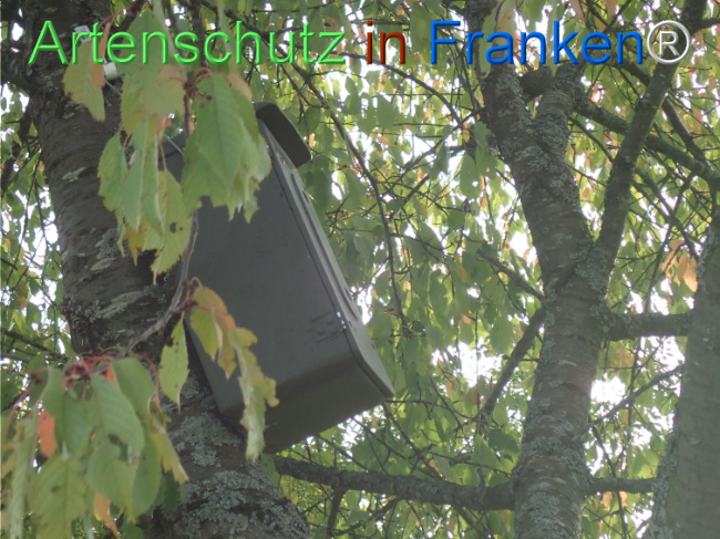 Bild zum Eintrag (1150864-160)