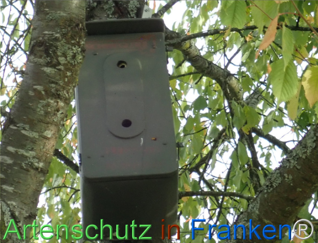 Bild zum Eintrag (1150869-160)