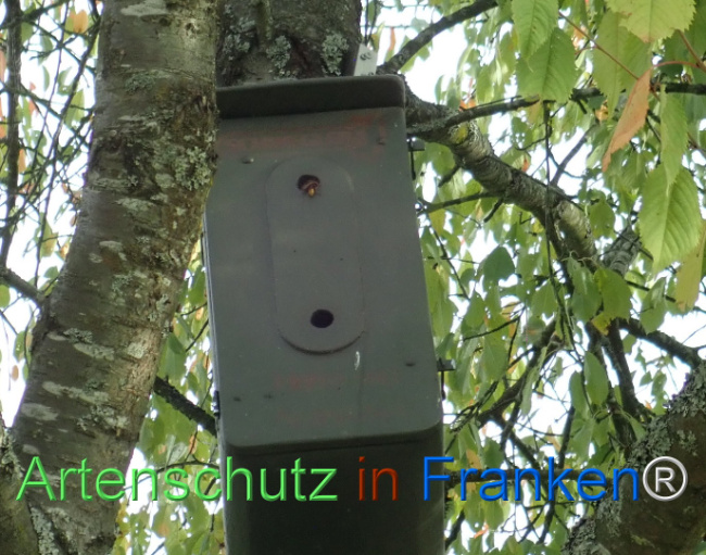 Bild zum Eintrag (1150871-160)