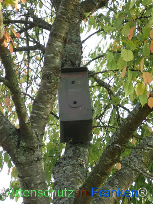 Bild zum Eintrag (1150874-160)