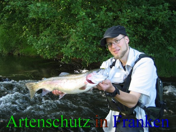 Bild zum Eintrag (1150979-160)