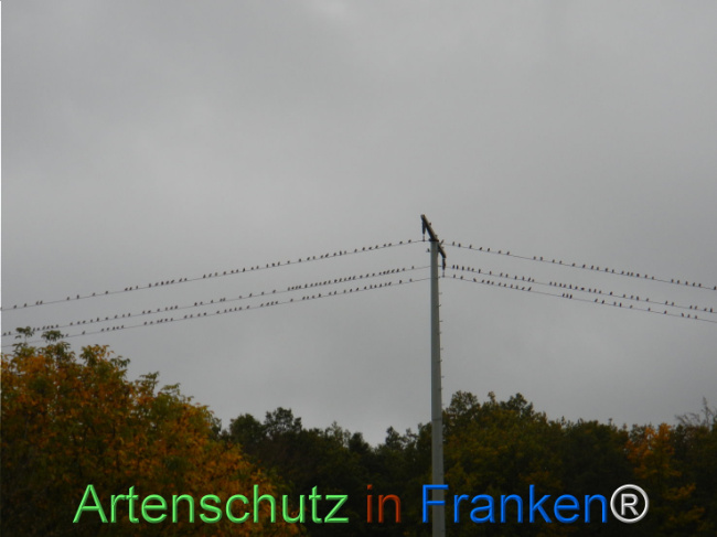 Bild zum Eintrag (1151250-160)