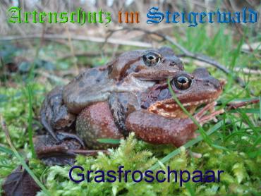 Copyright AiS Köhler Bild zum Eintrag (20406-160)