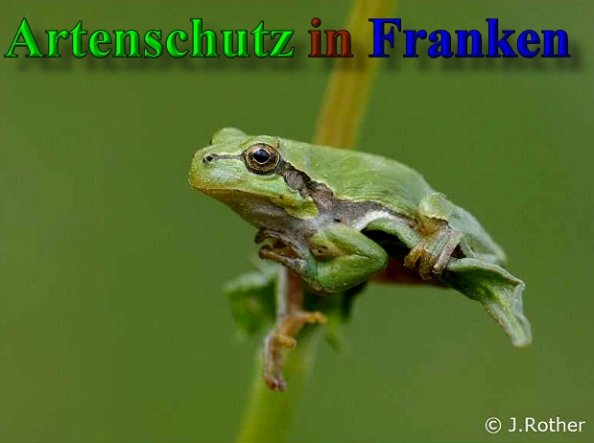 Copyright AiS-Johannes Rother Bild zum Eintrag (20409-160)