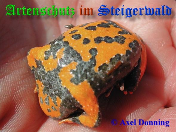Copyright AiS / 2009 Axel Donning Bild zum Eintrag (20444-160)
