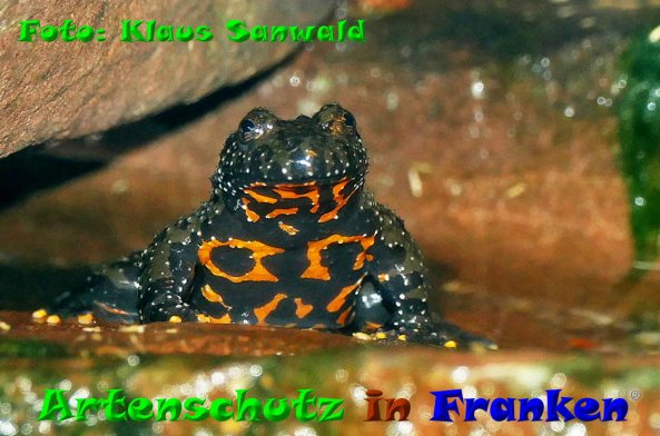 Copyright AiF - Klaus Sanwald Bild zum Eintrag (20445-160)
