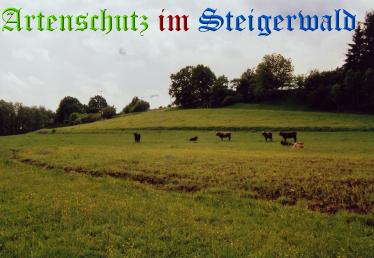 Copyright AiS Köhler Bild zum Eintrag (20456-160)
