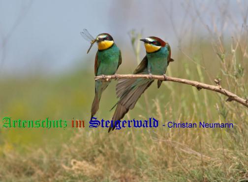 Copyright AiS 7 2009 / Christian Neumann / Tornadoropa Bild zum Eintrag (20504-160)
