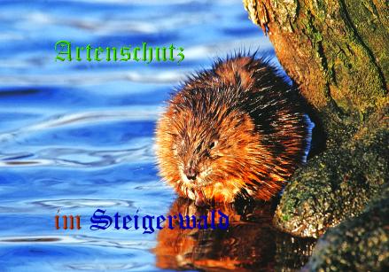 Copyright AiS / 2008 / Andy Gehrig Bild zum Eintrag (20508-160)