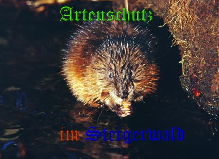 Copyright AiS / 2008 / Andy Gehrig Bild zum Eintrag (20509-160)