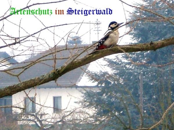 Copyright AiS / 2009 Peter Garbatz Bild zum Eintrag (20548-160)